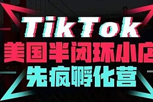 疯人院·TikTok美国半闭环小店孵化营，抢占TikTok美国蓝海市场，开店、运营、带货、投流全实操